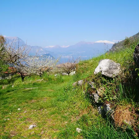 Maisonnette Terrace Apartamento